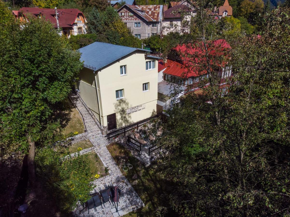 Casa Thor Apartment Sinaia Exterior photo